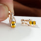 GARNET | CHAMPAGNE GOLD EAR CLIPS