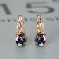 GARNET | CHAMPAGNE GOLD EAR CLIPS
