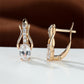 GARNET | CHAMPAGNE GOLD EAR CLIPS